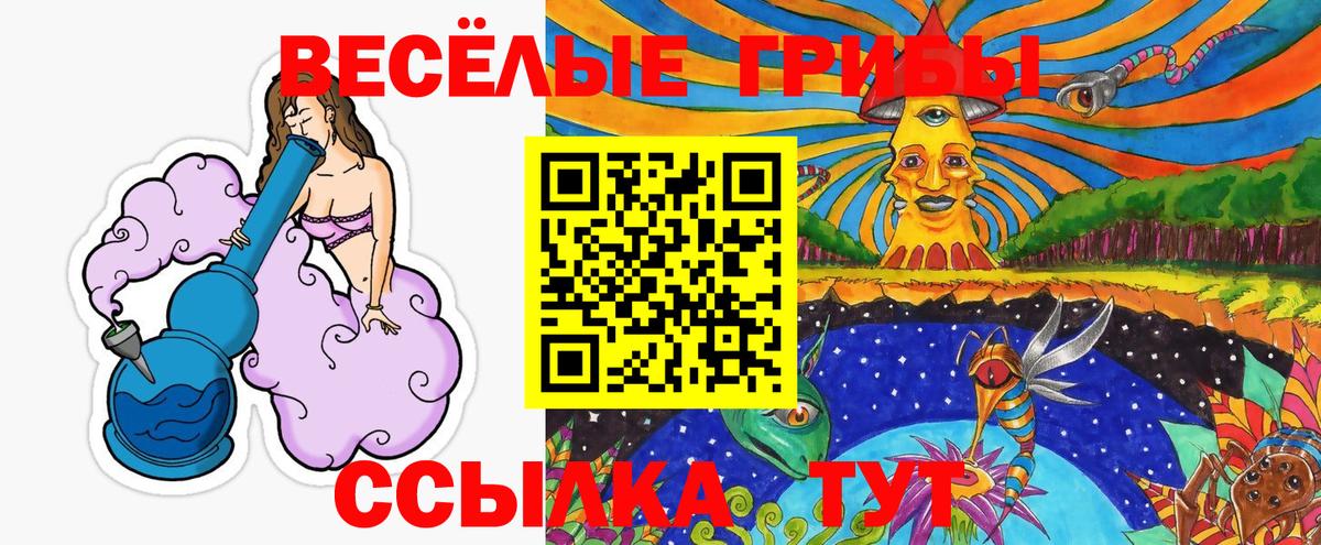 Ярцево  цены наркотик  Вход с VPN  Псилоцибиновые грибы мицелий 